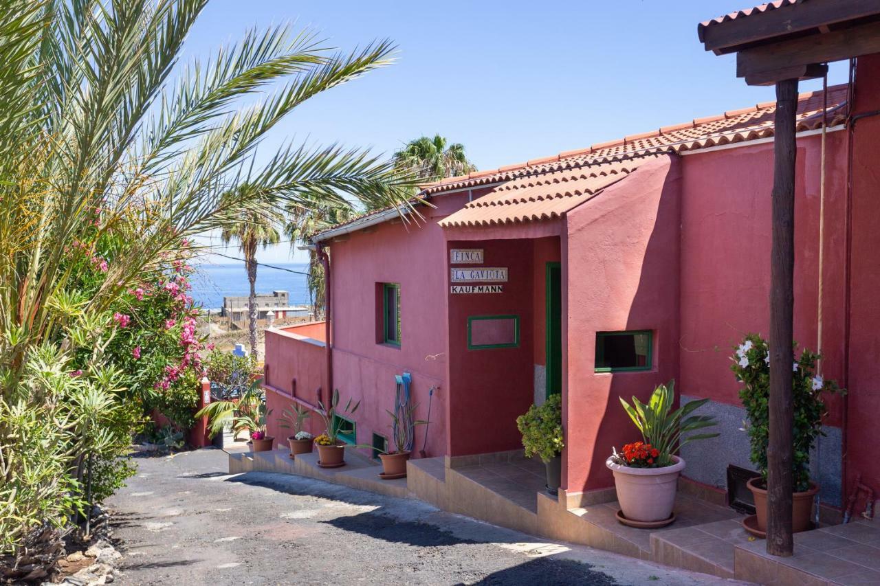 Finca La Gaviota - El Marmol Icod De Los Vinos Exterior foto